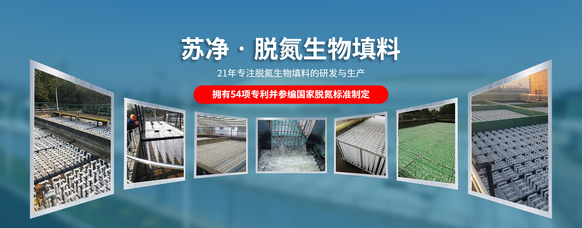 生物填料,生物绳,绳型生物填料,污水处置填料,脱氮填料,生物悬浮填料,生物填料厂家