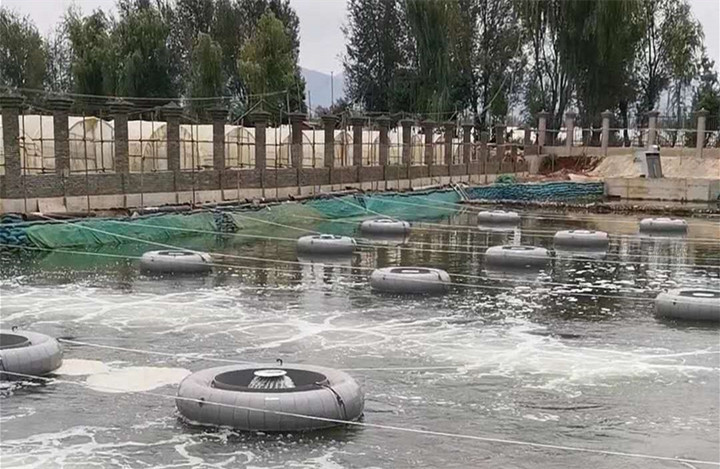 水草填料厂家.jpg 水草填料厂家.jpg